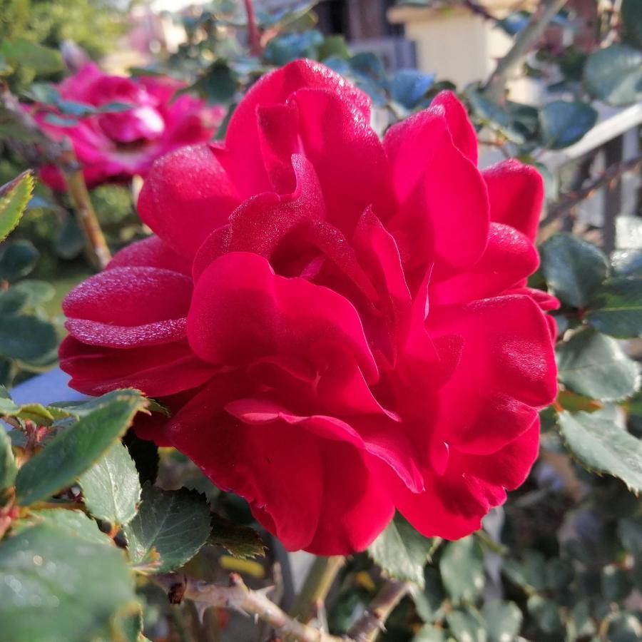 Acquachiara Home Villasimius Dış mekan fotoğraf